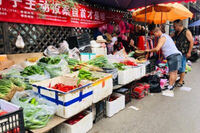 Half-Day Xi'an Biang Biang Noodles Cooking with a Market Visit - Cooking biang biang in a traditional courtyard home