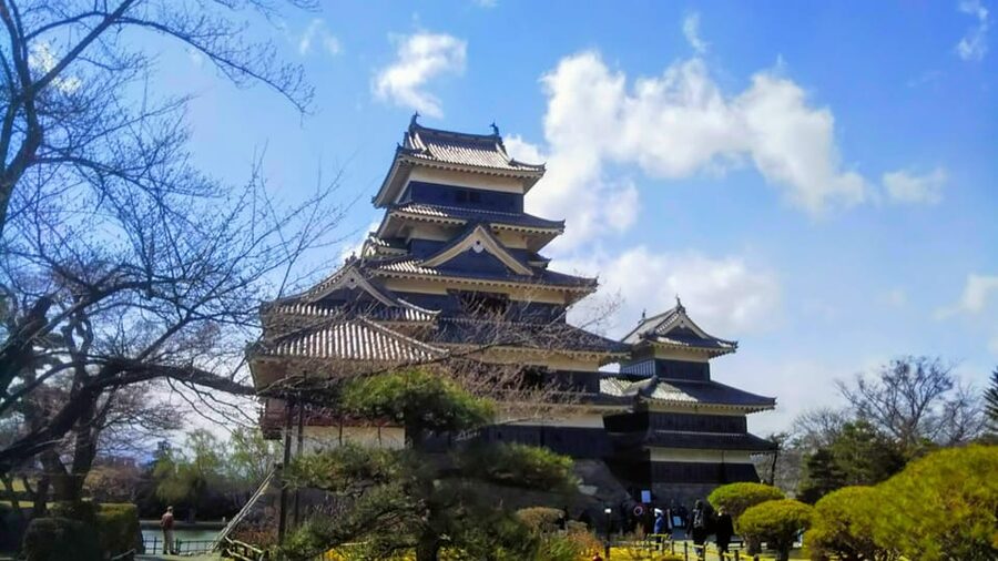 Matsumoto Castle Tour & Soba Noodle Making Workshop - Who Should Book (And Who Might Sit This One Out)