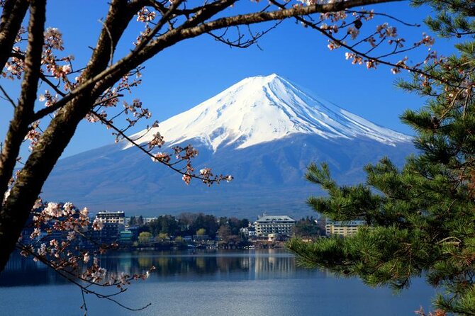 Mt. Fuji & Hakone: Fuji Sengen Shrine, Cruise, and Ramen-Making - Why This Mt. Fuji and Hakone Day Feels Worth Your Time