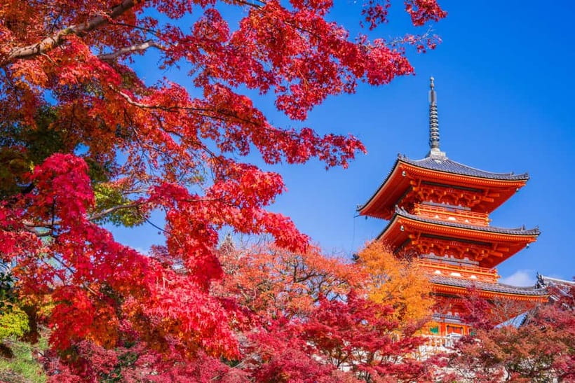 Tokyo: Mt. Fuji, Hakone, Arakura Fuji Sengen w/ Ramen Making - Price and Value: Why $126 Can Be a Fair Deal