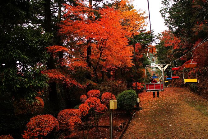 Tokyo: Mt. Takao Tour with Ramen and Tattoo-Okay Hot Spring - Key points you’ll care about