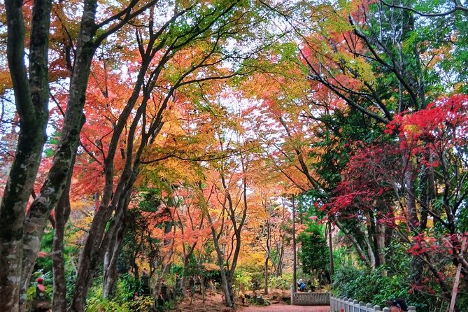 Tokyo: Mt. Takao Tour with Ramen and Tattoo-Okay Hot Spring - Cable car or chair lift: you’re not here to suffer