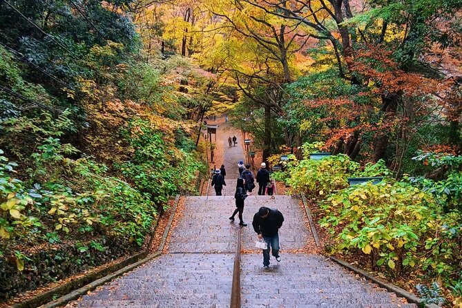 Tokyo: Mt. Takao Tour with Ramen and Tattoo-Okay Hot Spring - Monkey Park and the Wild Grass Garden: nature breaks the rhythm