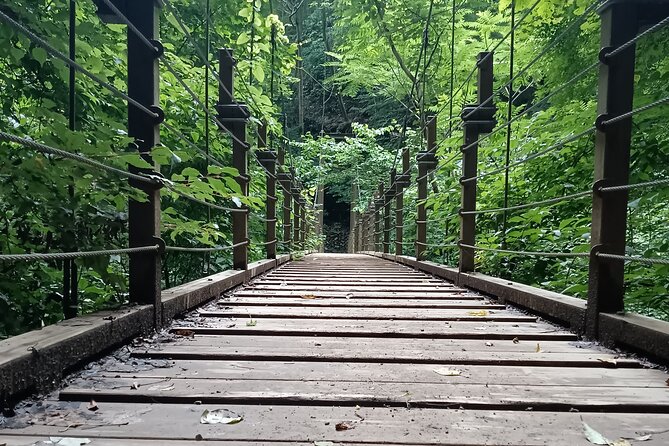 Tokyo: Mt. Takao Tour with Ramen and Tattoo-Okay Hot Spring - Gomadokoro Gongen Chaya lunch: Hachioji ramen or soba, handled for you