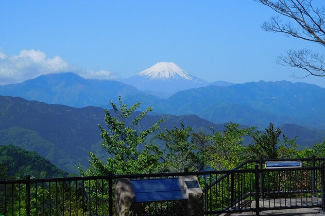 Tokyo: Mt. Takao Tour with Ramen and Tattoo-Okay Hot Spring - Getting started at Takaosanguchi Station (and why the setup matters)
