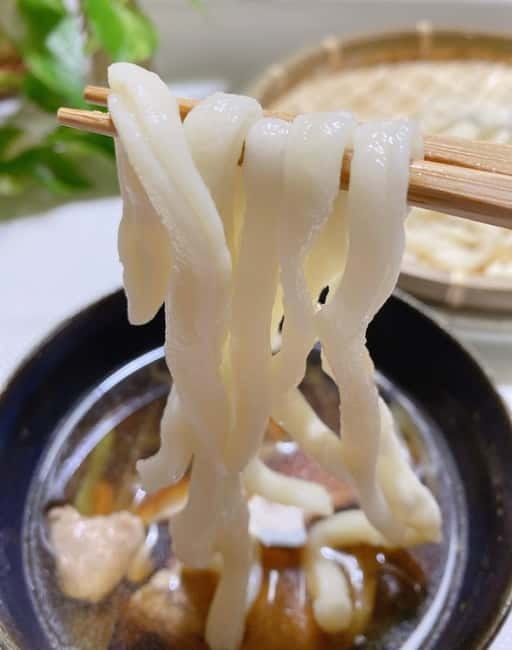 Tokyo: Traditional foot-kneaded Udon noodles class - Price and Value: What $70 Really Covers