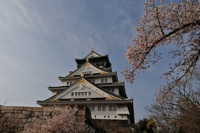 Walking Tour of Osaka's 5 Must-See Sights, with Ramen for Lunch - Start at 9:00 AM Near Tanimachi-sanchome: Your First Easy Win